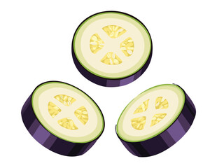 Falling Eggplant Slices Fresh Healthy Organic - Vector Illustration