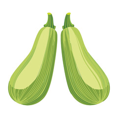 Fresh Green Whole Zucchini Healthy Food - Vector Illustration