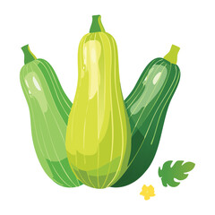 Healthy Green Zucchini Vegetable Fresh Produce - Vector Illustration