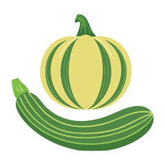 Striped Squash Zucchini Organic Garden Art - Vector Illustration