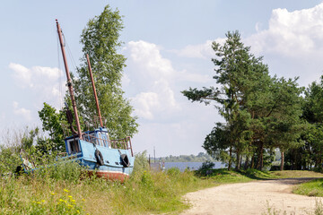 Old blue boat sits grounded in overgrown grass beside a dirt road and pine trees, with a lake and...