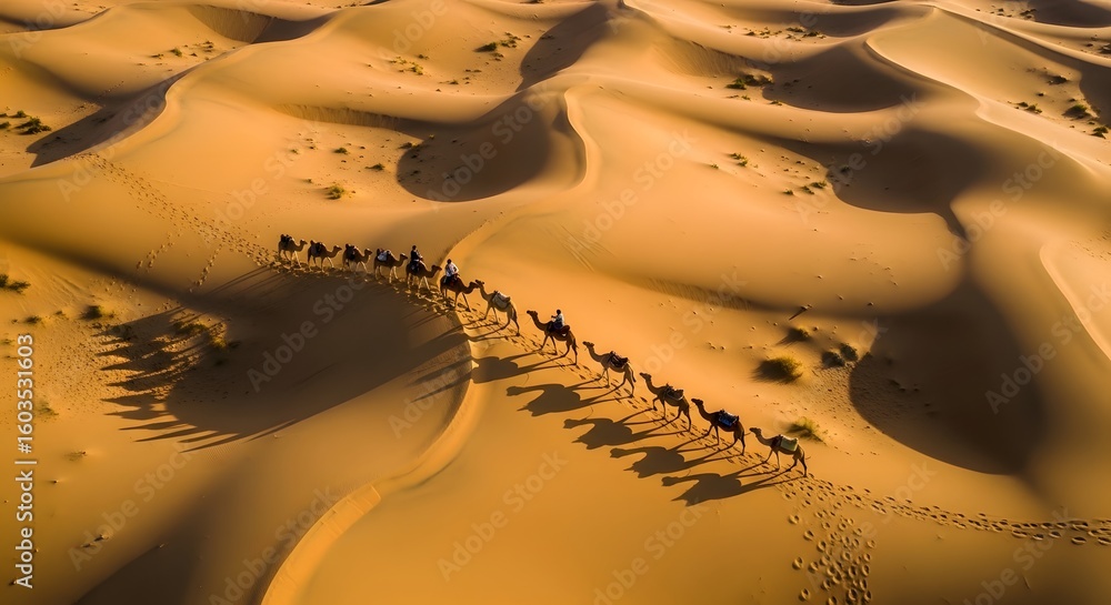 Poster aerial view of a group of animals traversing the undulating sand dunes in the desert casting long sh