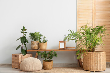 Bench, pouf and wicker baskets with houseplants near white wall in interior of room