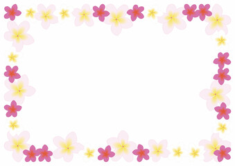 Fototapeta premium プルメリアピンクフレーム