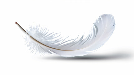 Obraz premium Floating white feather nature still life bright background close-up delicate beauty