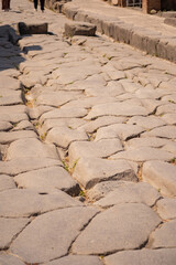 Cobblestone path