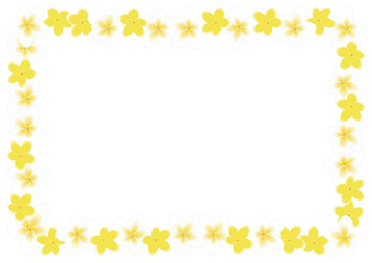 プルメリア白フレーム