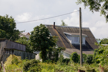 Traditional countryside house with a weathered roof sits behind trees and a garden plot, surrounded by lush summer vegetation and utility pole.