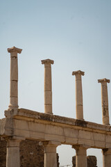 Old Roman Columns