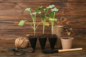 Pots with seedlings and gardening tools on wooden background