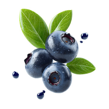 Fresh blueberries flying with water drops and green leaves isolated on transparent background