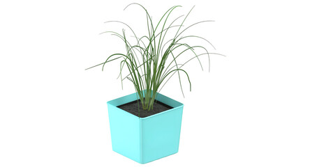 A vibrant green plant in a turquoise pot, showcasing a fresh and lively addition to indoor decor.