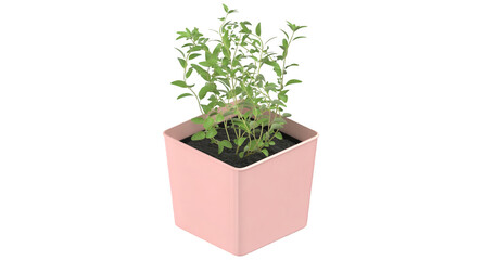 A small pink pot containing young green plants, symbolizing growth and nature.