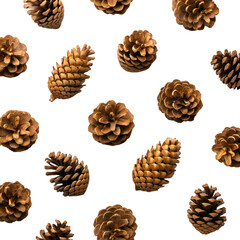 pine cones and nuts