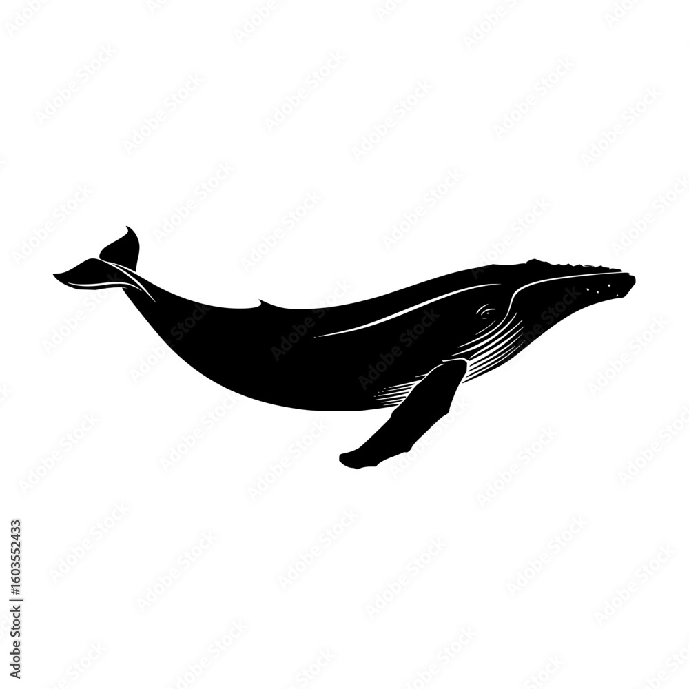 Poster vector graphics of a whale for tech company branding and logo design, ai generated art for websites 