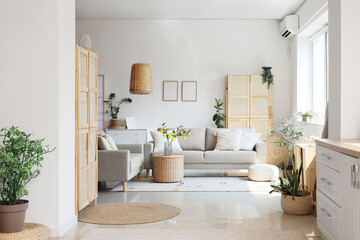 Comfortable sofas, wicker table and houseplants in interior of living room