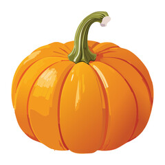 Fresh Organic Whole Pumpkin Harvest Ingredient - Vector Illustration