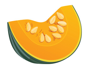 Detailed Pumpkin Slice Fresh Organic Produce - Vector Illustration