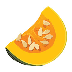 Vibrant Healthy Pumpkin Wedge Detail - Vector Illustration