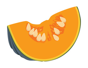 Fresh Single Pumpkin Slice Ready Cook - Vector Illustration