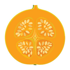 Fresh Organic Pumpkin Slice With Seeds - Vector Illustration