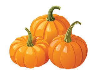 Group of Various Orange Pumpkins Harvest - Vector Illustration