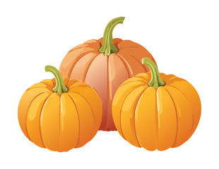 Assortment of Orange Pumpkins Autumn Harvest - Vector Illustration