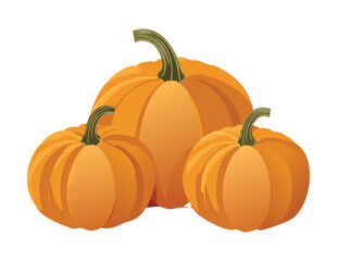Group of Orange Pumpkins Different Sizes - Vector Illustration