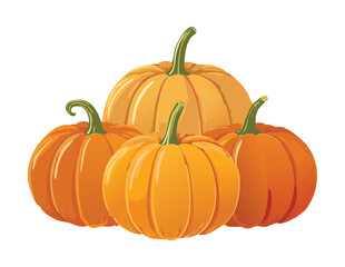 Fresh Harvest Pumpkins Assortment Ripe - Vector Illustration