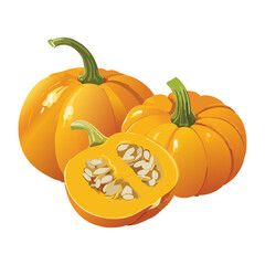 Group of Orange Pumpkins Half Sliced - Vector Illustration