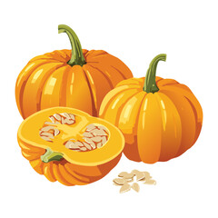 Whole and Sliced Orange Pumpkins Seeds - Vector Illustration