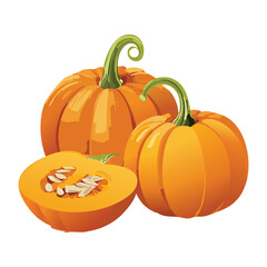 Fresh Orange Pumpkins with Sliced Half - Vector Illustration