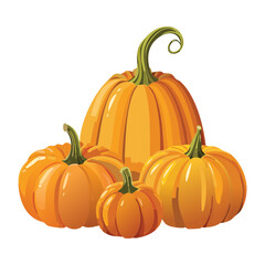 Fresh Harvest Orange Squash Seasonal Food Vector Illustration