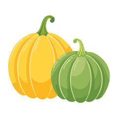 Fresh Garden Pumpkin Gourds - Vector Illustration