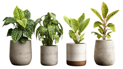 Flourishing foliage, a vibrant row of potted plants bursting with life lush