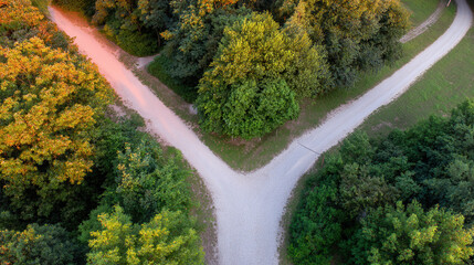 Aerial view of diverging forest paths at golden hour, symbolizing life choices and natural beauty.