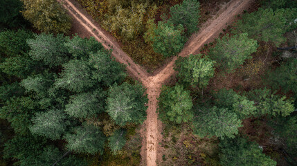 Aerial view of diverging forest paths at golden hour, symbolizing life choices and natural beauty.