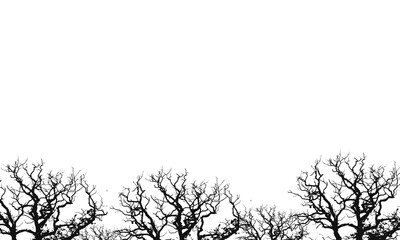 Black Silhouette of Bare, Gnarled Winter Trees Border