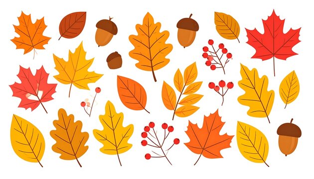 Autumn leaves and acorns on white background - Powered by Adobe