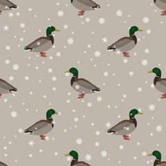 Seamless seasonal animal pattern with male mallards and snowflakes. Winter design with wild ducks. Anas platyrhynchos.