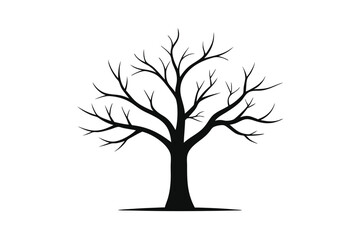 Obraz premium Simple Ink Outline of a Bare Winter Tree Without Foliage Illustration