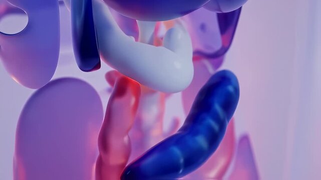 Abstract 3D Medical Illustration of Human Internal Organs with Smooth and Shiny Surfaces
