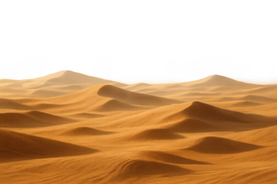 Sand dunes undulating across golden desert terrain, forming sweeping rhythmic patterns against expansive sandy terrain, transparent overlay available