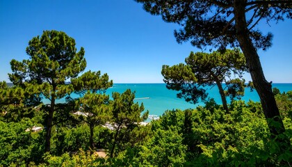 Coastal view through pine trees