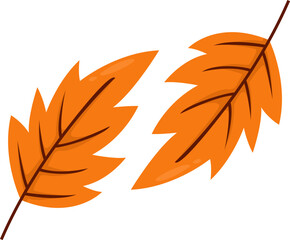Flat vector of autumn leaves, autumn leaf illustration