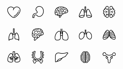 Human anatomy organs line art vector illustration for medical and biology education and healthcare design