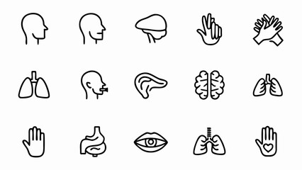 Human anatomy icons set vector illustration of body parts brain lungs heart liver and other organs icons