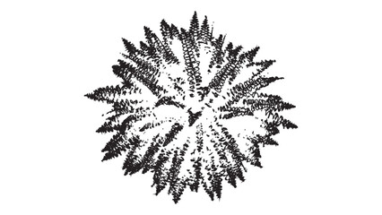 Stylized Fern Silhouette Vector Illustration Isolated on Transparent Background Art