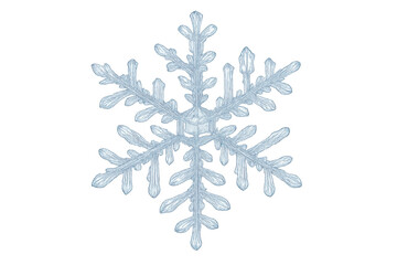 Intricate ice crystal snowflake growing, forming beautiful frozen patterns on a transparent background