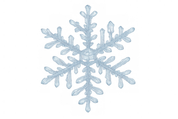 Intricate ice crystal snowflake growing, forming beautiful frozen patterns on a transparent background